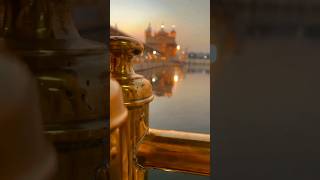 The Golden Temple (also known as the Sri Harimandir Sahib ) 🙏🙏 💞// #tranding #latestshorts