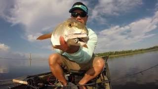 Fishing in Florida for SNAPPER COBIA KING - June 2016