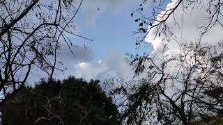 [Clouds x Timelapse] Sunshine & Birds!