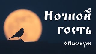 НАКАНУНЕ. 2.9. Ночной гость