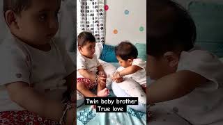 Twin baby boys True love #shorts #ayaanyuvaanlittletinytwins