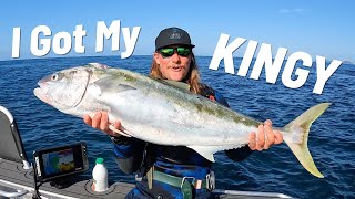 SPEARFISHING NEW ZEALAND Big kingfish & shark Encounter