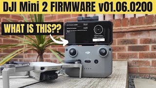 DJI Mini 2 Firmware Update v01.06.0200 - Flight Test & Review