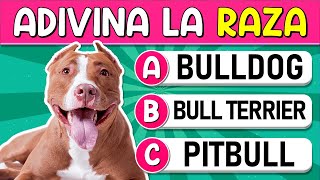 Adivina la "RAZA DE PERROS"🐶 | ¿Cuántss "RAZAS DE PERROS" Reconoces? Test/Trivial/Quiz