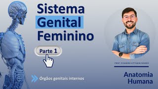 SISTEMA GENITAL FEMININO - PARTE 1 - ANATOMIA HUMANA