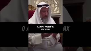 Дуа-Мольба за мусульман Палестины. Шейх Усман аль Хамис.