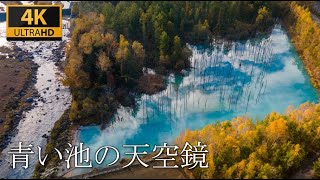 【神秘の絶景】北海道「青い池の天空鏡」の空撮｜Hokkaido "Blue Pond Sky Mirror"