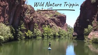 Beautiful Gorge Paddleboarding, Herping and Dinosaur Tracks