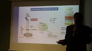 Estudio funcional de las bacterias que componen la microbiota y sus alteraciones. 3ª parte