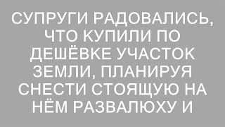 Супруги радовались, что купили по дешёвке участок земли, планируя снести стоящую на нём развалюху и