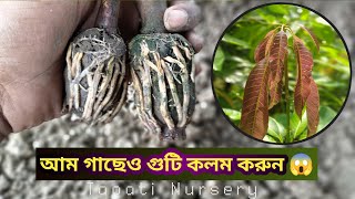 How to air layering mango tree 🥭  আম গাছেও গুটি কলম করুন। Tapati Nursery