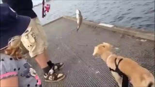 Grace catches a fish