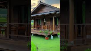 Rumah Kayu Tradisional dikelilingi  Sawah #rumahtradisional  #RumahKayu #Pedesaan   #RumahIdaman