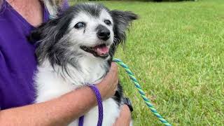 Mendota Pet visits Aylas Acres