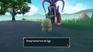 Egg is hatching -  Pokémon Scarlet and Violet