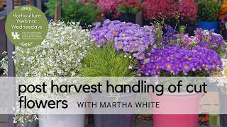 Post Harvest Handling of Cut Flowers