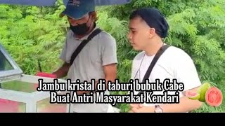 JAMBU KRISTAL DI TABURI BUBUK CABE, YANG BUAT MASYARAKAT KENDARI ANTRI !