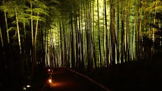 Kodaiji temple (高台寺, Kōdai-ji) Kyoto, Japan - summer night illuminations