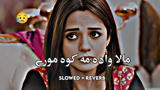 Mala Wada Makawa More (Slowed+Reverb) Pashto Song | Sad Song | Lofi Song | New Song 2023