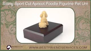 Sitting Sport Cut Apricot Poodle Figurine Pet Urn