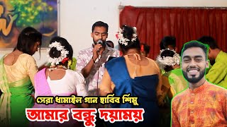 আমার বন্ধু দয়াময় | বিচ্ছেদ ধামাইল গান | নতুন দামালি গান হাবিব শিমু | Sumon Gallery123