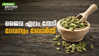 ജൈവ ഏലം തേടി ദേവസ്വം ബോർഡ് | Agriculture News | MyFin TV Business Malayalam