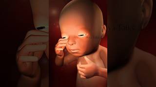 ഇത്ര പെട്ടെന്ന് കേട്ട് തുടങ്ങുമോ😨 🤰💯 #pregnancy #shot #trending #live #youtube