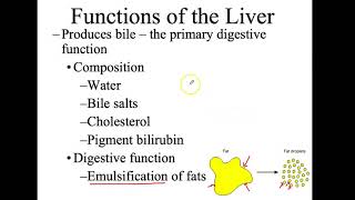 Bio4_MOdule16_Ch24_Digestion part 5