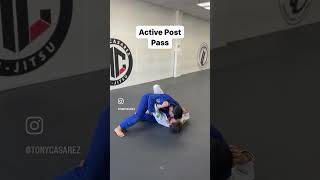 Top 10 BJJ Knee Cut Passes Every Beginner Should Know #bjj #martialarts #mma