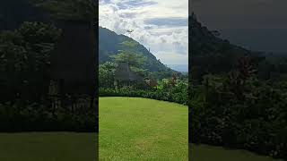 Ilaya Mountain Resort #travelguide #negros #silay #nature