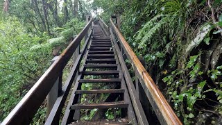 Hiking to Wairere Falls - the Tallest in New Zealand's North Island