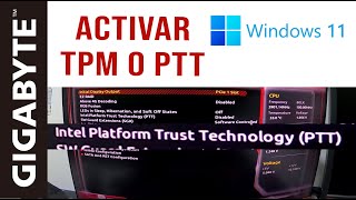 Activar TMP PTT en Board Gigabyte AORUS Windows 11