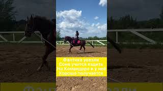 #лошади #horse #конныйспорт #эдит #любовь