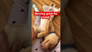 Caleb you are such a mama’s boy😀😀 #viralvideo #puppy #trend #video  #trends #trending #viralvideo