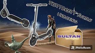 Trittbrett Sultan Unboxing & Technische Daten / 500W Nennleistung / 15Ah / 36V /