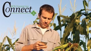 FCS Financial Connect Program for Young, Beginning Farmers