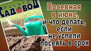 Посевная в июне, и что делать, если не успели посеять в срок