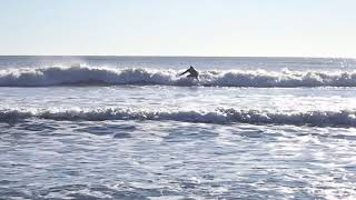 Mavillette Beach Hurricane Maria Surf Action