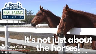 It's not just about the horses - Real Farms, Real Stories: Solaris Farm / Equine Facility