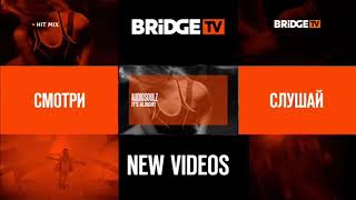 New Videos on Bridge TV (06.04.21)