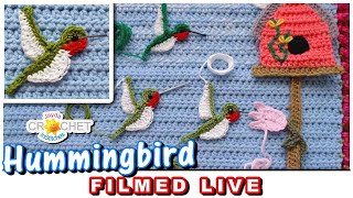 Hummingbird & Trumpet Flower Appliqué - Garden Wall Hanging - LIVE Crochet Workshop 💗 May 20, 2024