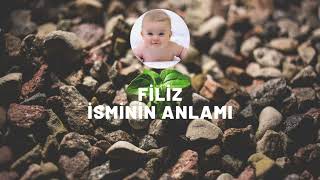 FİLİZ isminin anlamı nedir? Kişisel özellikleri nelerdir?