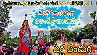 పెద్దమూల మొహరం పండుగ సెలెబ్రేషన్స్ 🥳🥳🎉🕌🕌#moharram #moharam #peerlapanduga #trending #goretivenkanna