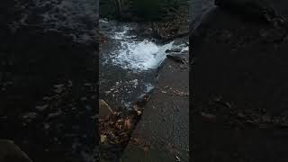 At the Spillway in November #hikingadventures #outdoors #slowed #sloweddown #bewater #h2o #concrete