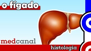 O Fígado | HISTOLOGIA