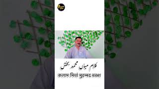 کلام میاں محمد بخش #punjabipoetry #kalammianmuhammadbakhsh  #poetry  #youtubeshort  #kharisharif