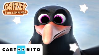 Grizzy e os Lemingues | Pinguins de chocolate | Cartoonito