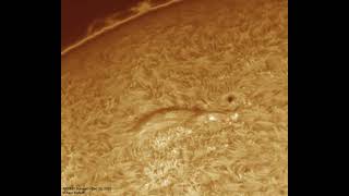 Dec 10, 2020 - AR2790 Sunspot