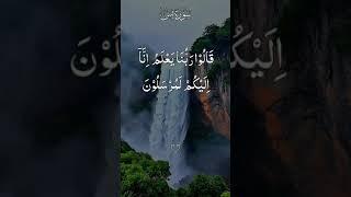 Surah Yaseen With Urdu translation must watch full With Arabic Word by word #alquran #Muslim