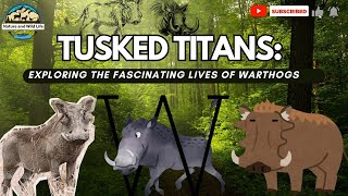 Tusked Titans:Exploring the Fascinating Lives of Warthogs #nature #wildlife #viral #warthog #natural